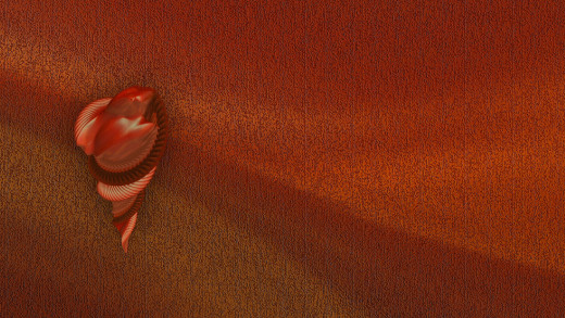133106 (a): :1920x1080